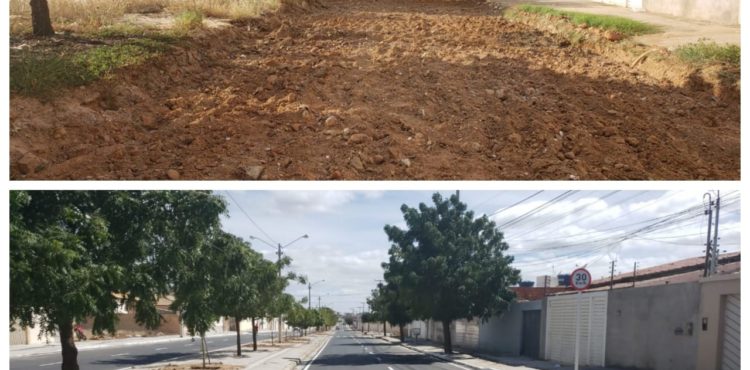 De cara nova: Parque Massangano ganha pavimentação e mais de 80 novas árvores