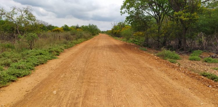 Prefeitura reforça atividades de patrolamento em estradas vicinais do interior de Petrolina