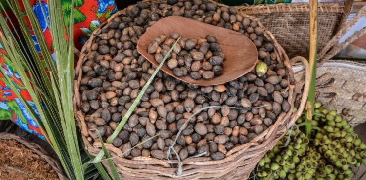 Parceria entre empreendimentos da agricultura familiar incrementa renda e valoriza a produção do licuri