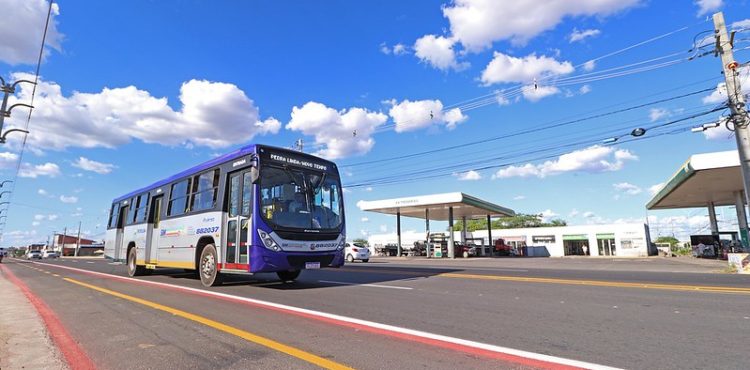 PE anuncia inscrições de gratuidade em ônibus para quem perdeu emprego na pandemia; veja critérios