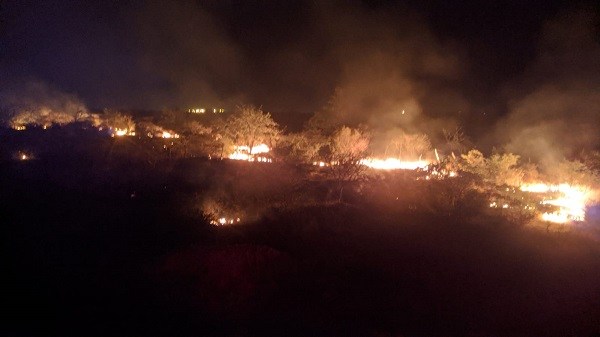 Incêndio atinge área de vegetação próximo da entrada do distrito do Rodeadouro em Juazeiro-BA