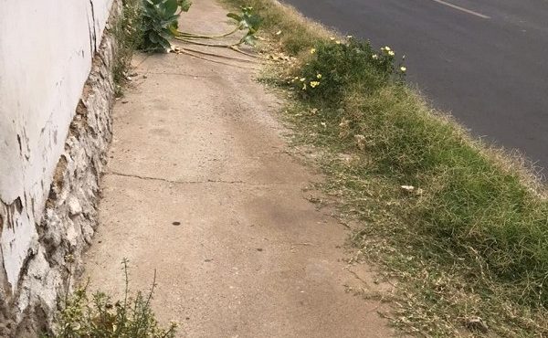 Leitor solicita que prefeitura de Petrolina (PE) faça limpeza de calçada em rua da área central: “ninguém consegue andar”