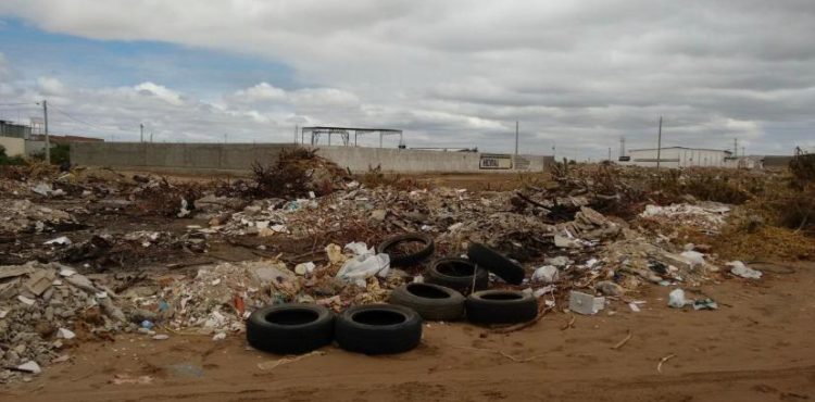 Prefeitura notifica 257 terrenos baldios e imóveis abandonados em Petrolina