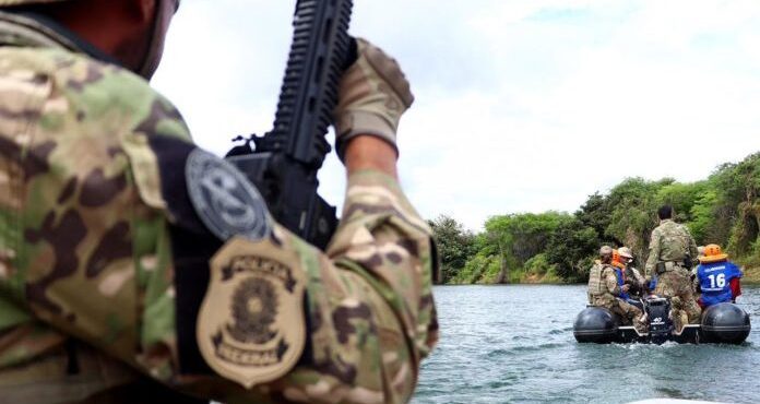 Polícia Federal erradica 554 mil pés de maconha no Sertão de Pernambuco