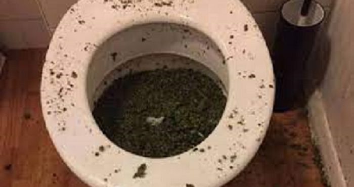 Polícia Militar encontra maconha no vaso sanitário de residência em Juazeiro