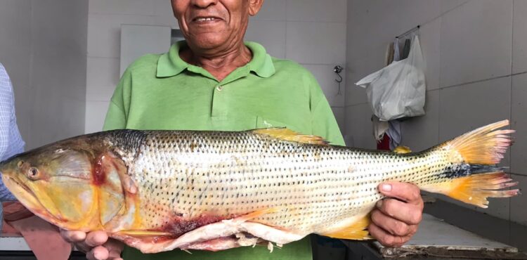 Proximidade da Semana Santa já movimenta peixarias do Mercado Joca de Souza