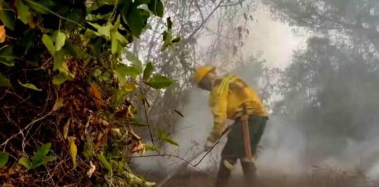 Brasil é o país da América do Sul com mais focos de incêndio