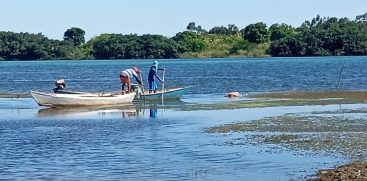 Corpo encontrado nas margens do Rio São Francisco em Petrolina; confira algumas informações