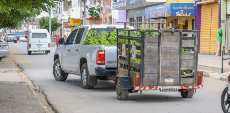 Carro da Planta: Prefeitura de Petrolina vai levar ação para o bairro Cohab Massangano