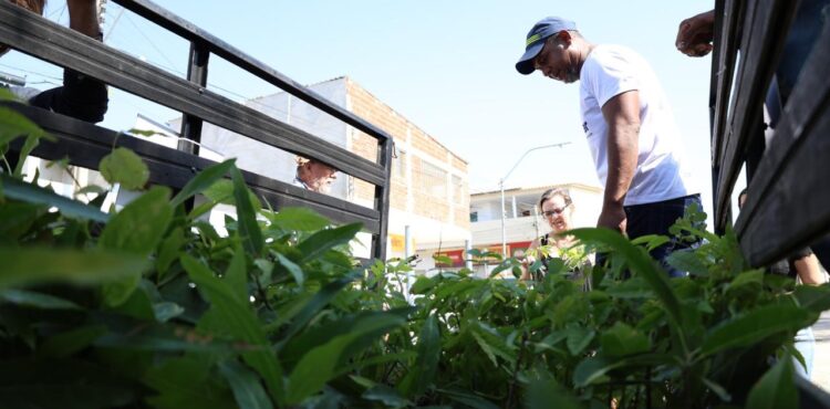 Carro da Planta: Prefeitura de Petrolina leva mudas de plantas para Cohab VI