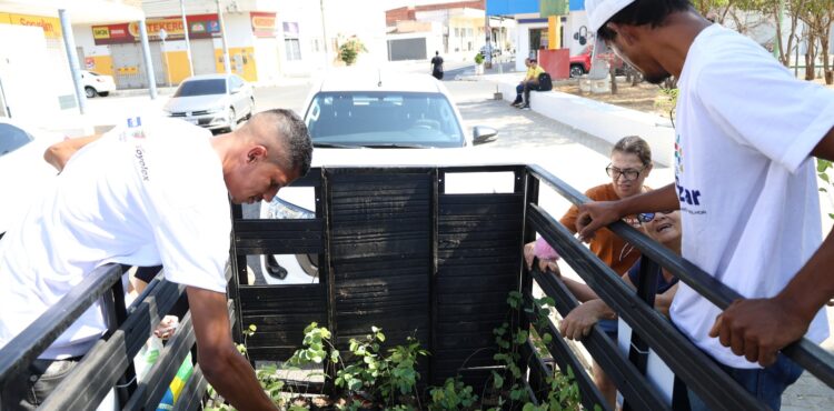 AMMA distribui mais de 2 mil mudas de plantas na Cohab Massangano em Petrolina