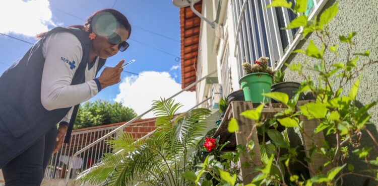 Bairros de Petrolina recebem mutirão de combate à dengue no final de semana