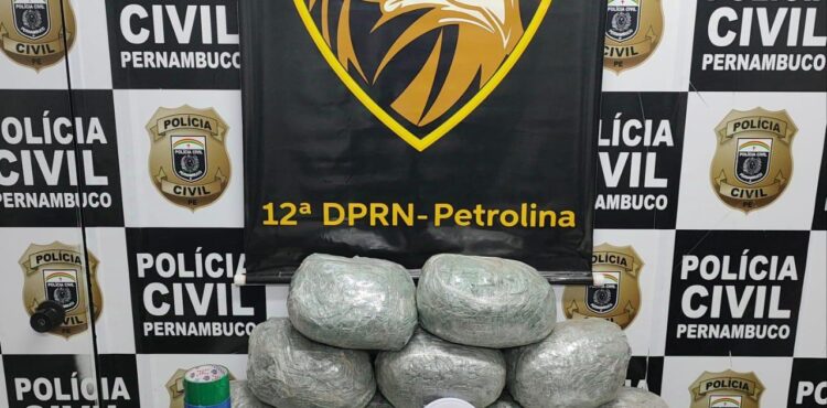 Investigação da 12ª DPRN resulta em prisão e apreensão de drogas e arma em Petrolina-PE