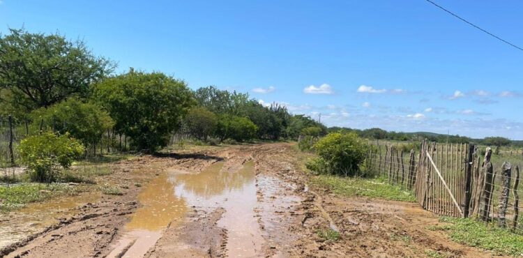 Estradas do distrito de Pinhões são vistoriadas em ação da Agência de Desenvolvimento Rural